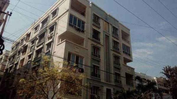  pride Images for Project