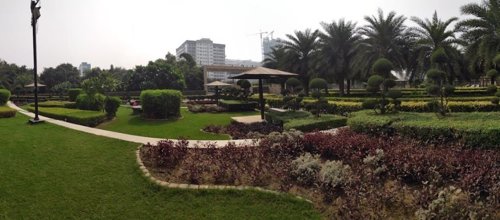  tierea Landscape Garden and Tree Planting