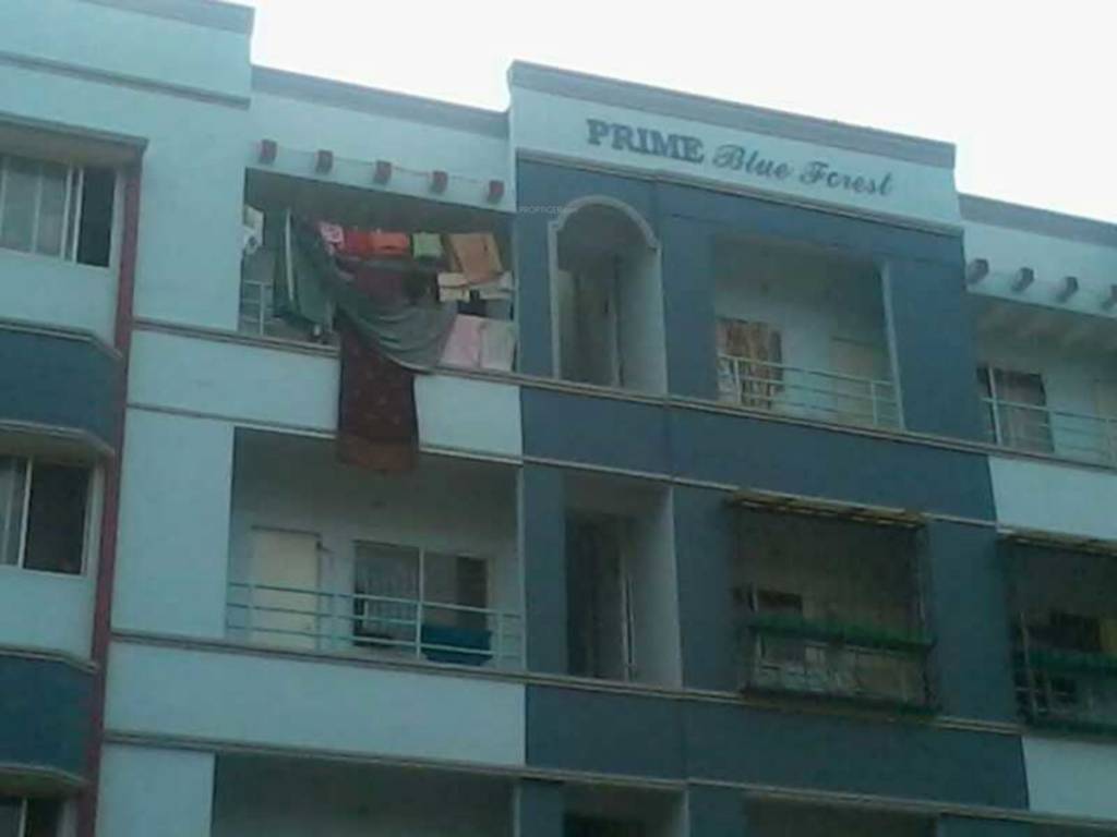  blue forest Elevation