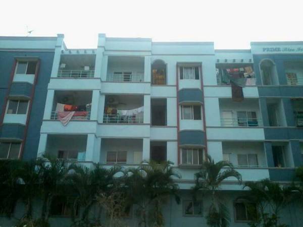  blue-forest Elevation