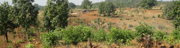 Images for Main Other of Disha Direct Wellness City