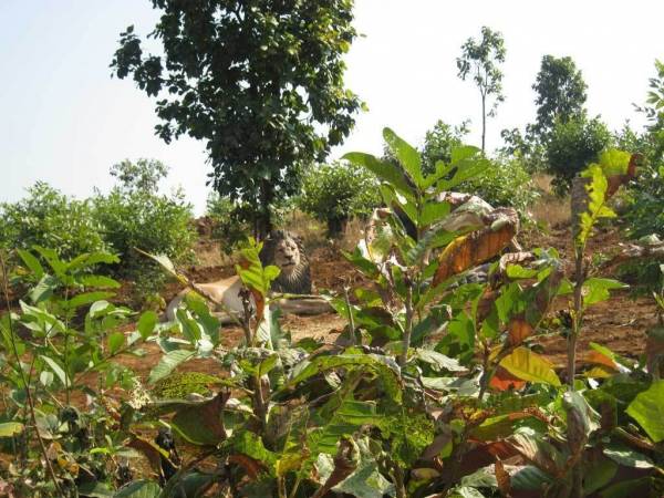 Images for Main Other of Disha Direct Wellness City