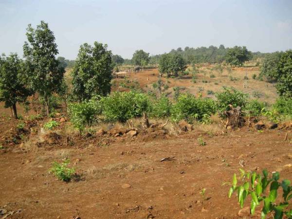 Images for Main Other of Disha Direct Wellness City