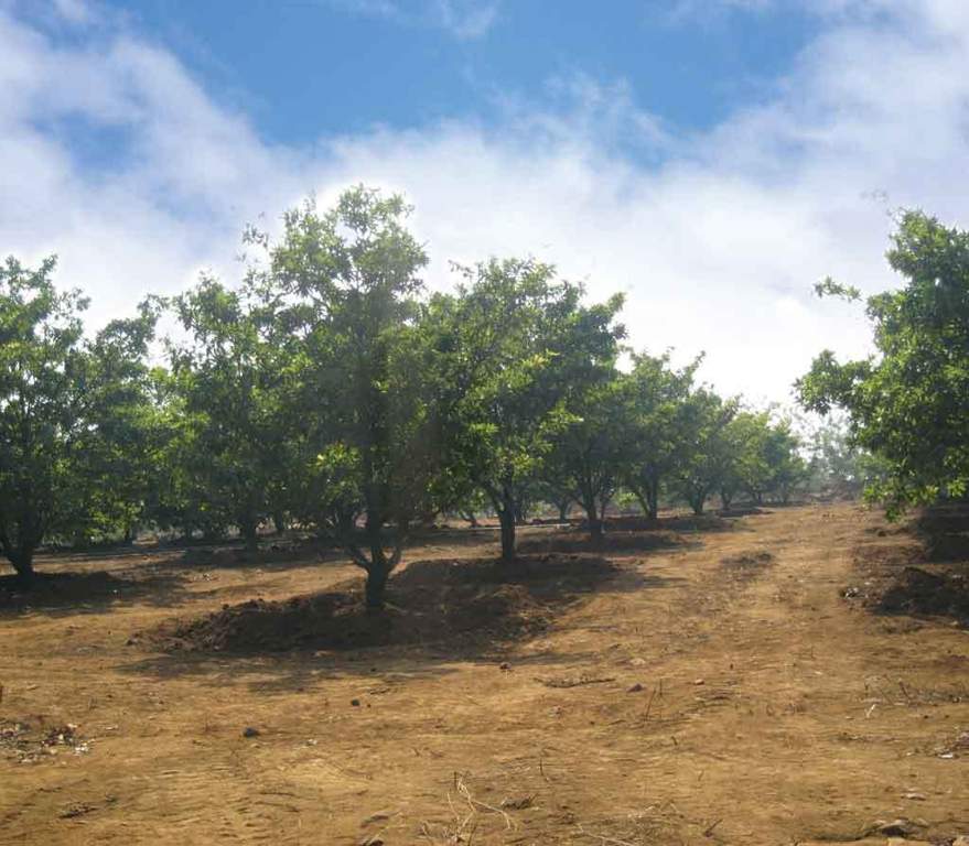 Images for Main Other of Disha Direct Wellness City