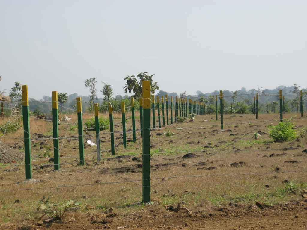 Images for Main Other of Disha Direct Wellness City