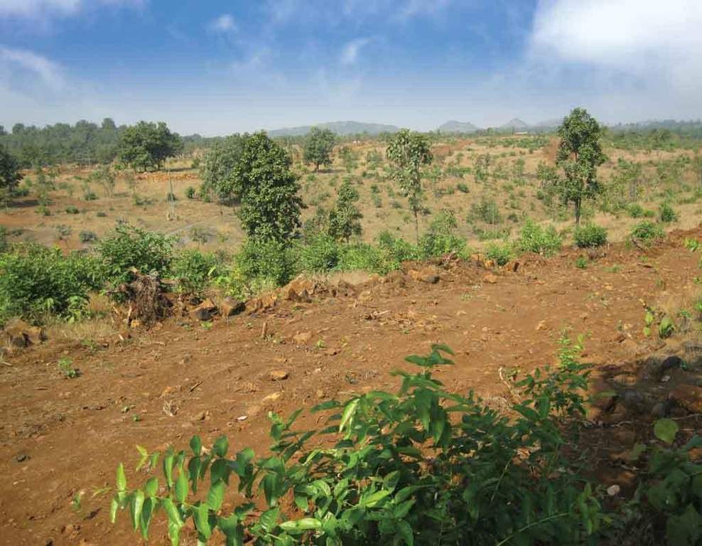 Images for Main Other of Disha Direct Wellness City