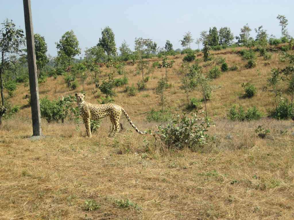 Images for Main Other of Disha Direct Wellness City