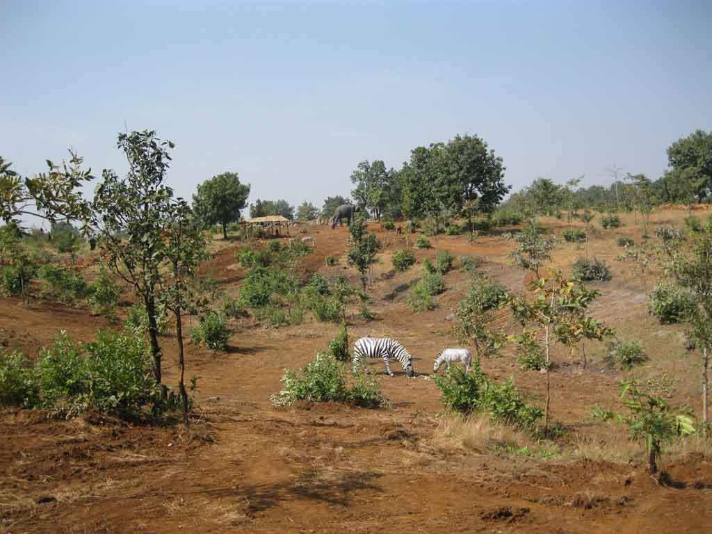 Images for Main Other of Disha Direct Wellness City