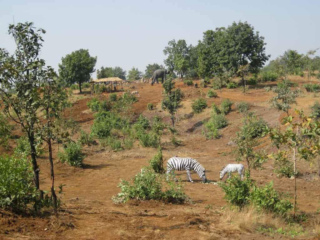 Images for Main Other of Disha Direct Wellness City