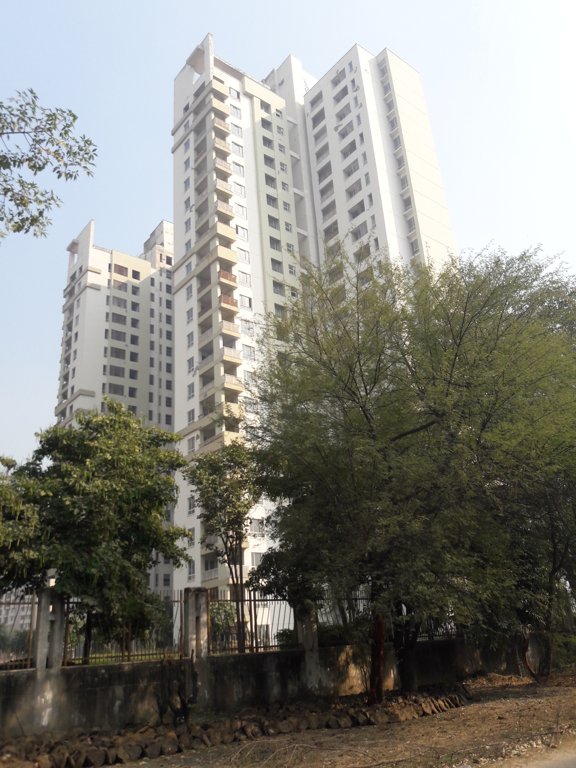  verve Images for Project