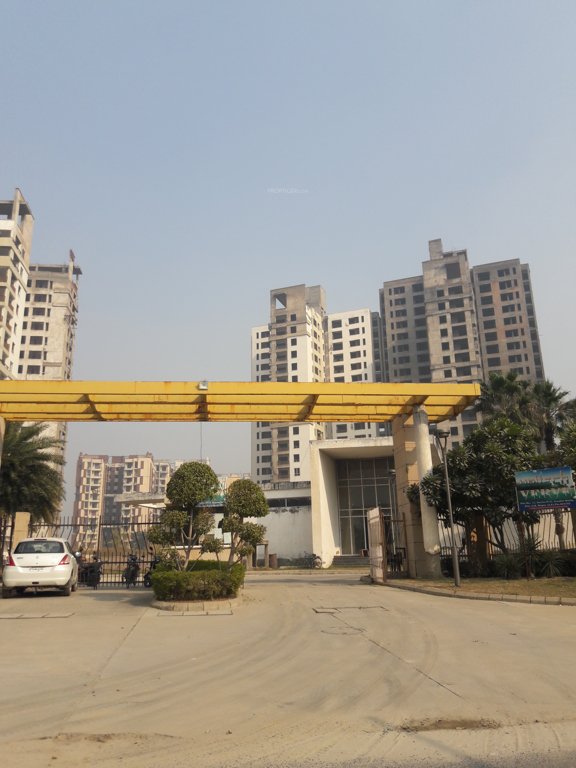  verve Images for Project