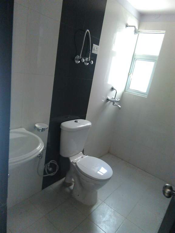 ryne Images for Main Other of Primrose Ryne