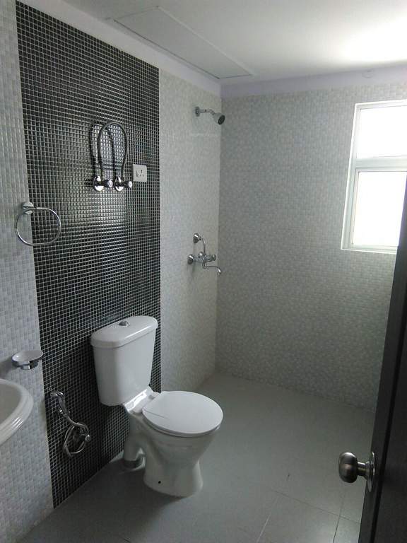 ryne Images for Main Other of Primrose Ryne