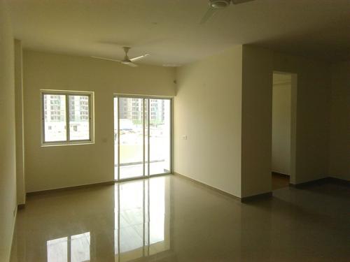  ryne Images for Main Other of Primrose Ryne