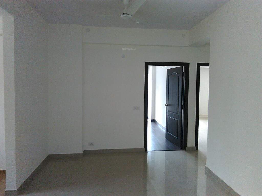 ryne Images for Main Other of Primrose Ryne