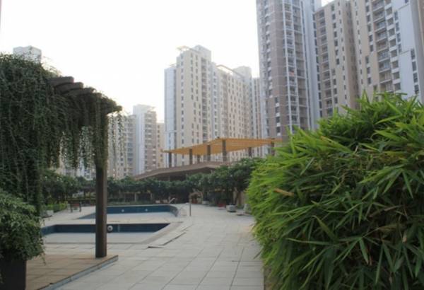  horizon Swimming Pool