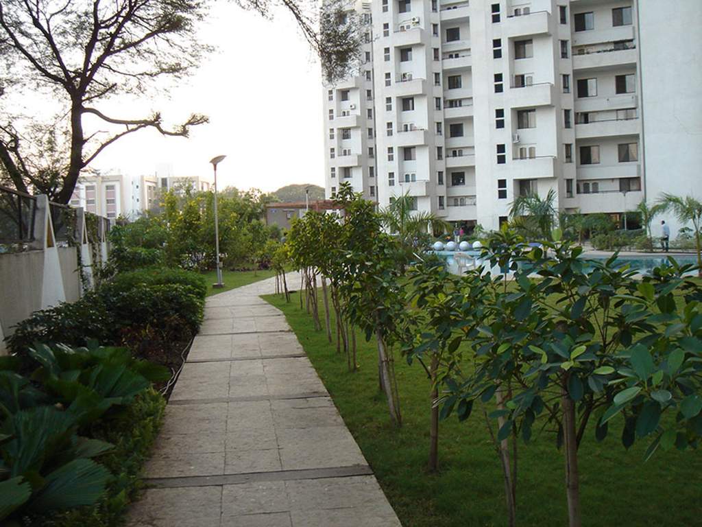  nilay Landscape Garden and Tree Planting