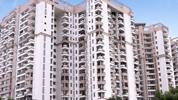 Pearl Court