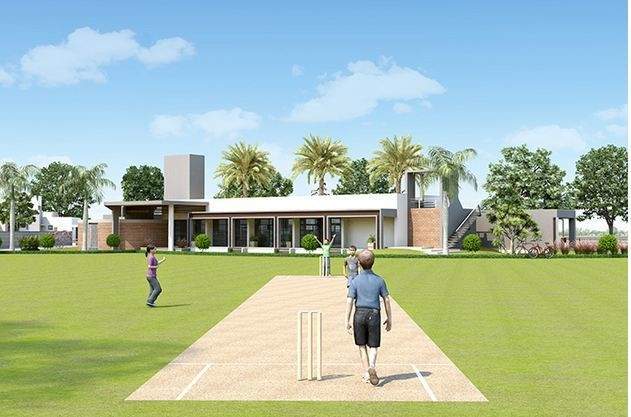  solace Cricket Pitch