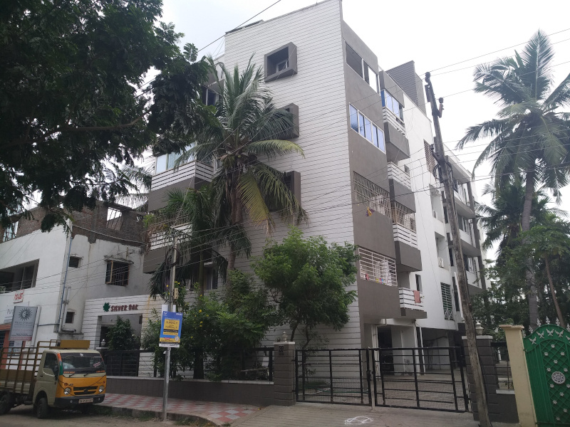  silver oak Elevation