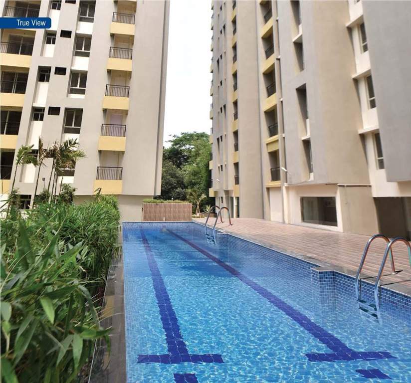  skyview Images for Amenities of Magnolia Skyview