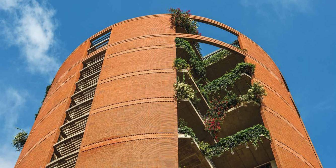 the magic faraway tree Images for Elevation of Total Environment The Magic Faraway Tree