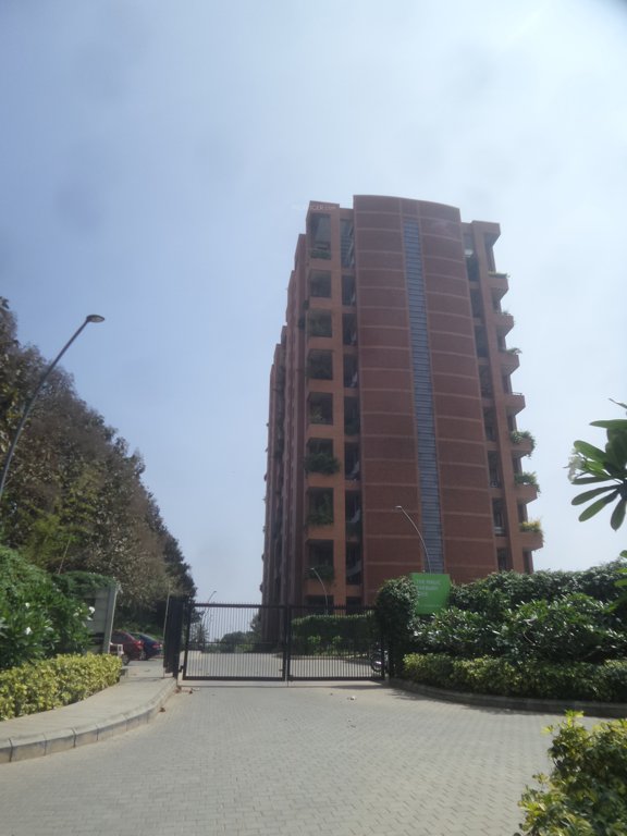 the magic faraway tree Images for Project