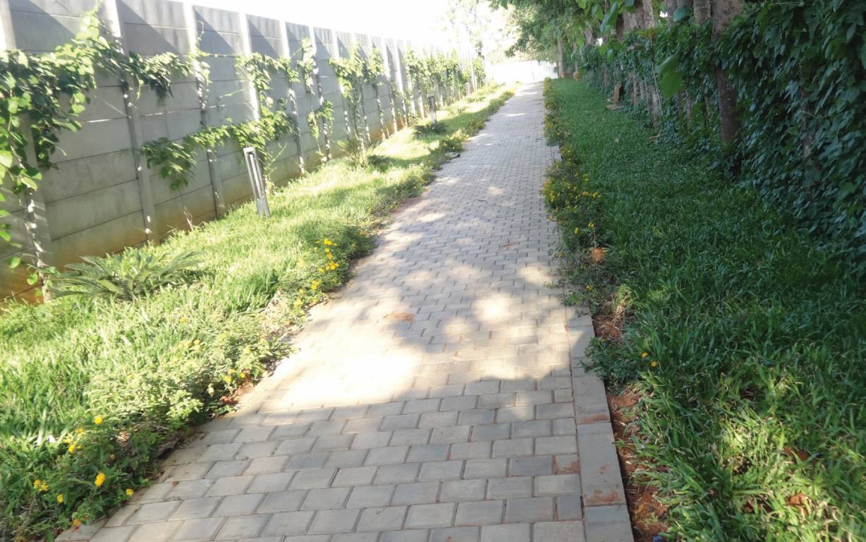 the magic faraway tree Internal Roads & Footpaths