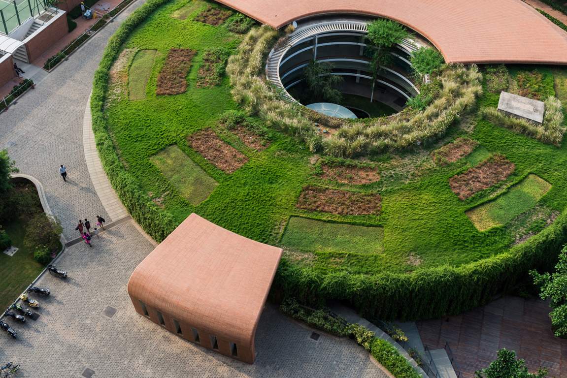 the magic faraway tree Landscape Garden and Tree Planting