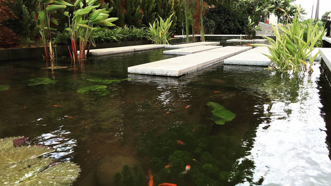 the magic faraway tree Polo Ground