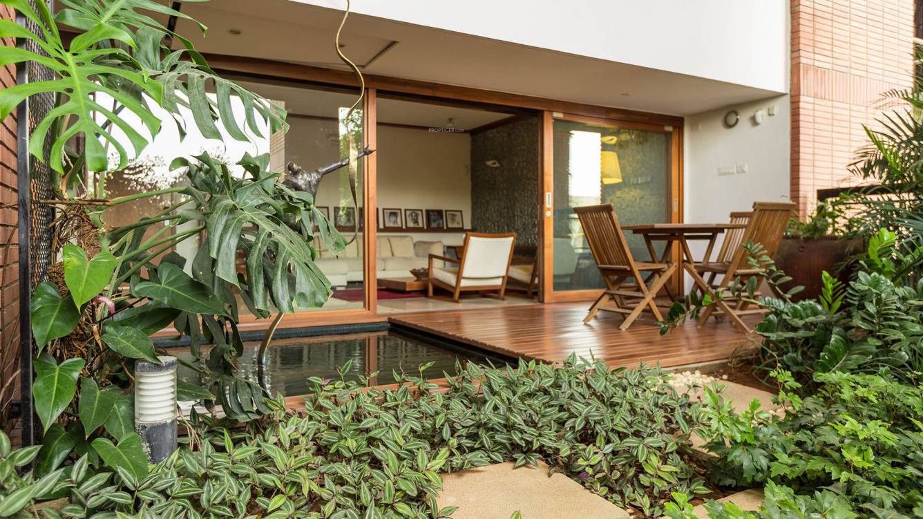 the magic faraway tree Senior Citizen Sitout