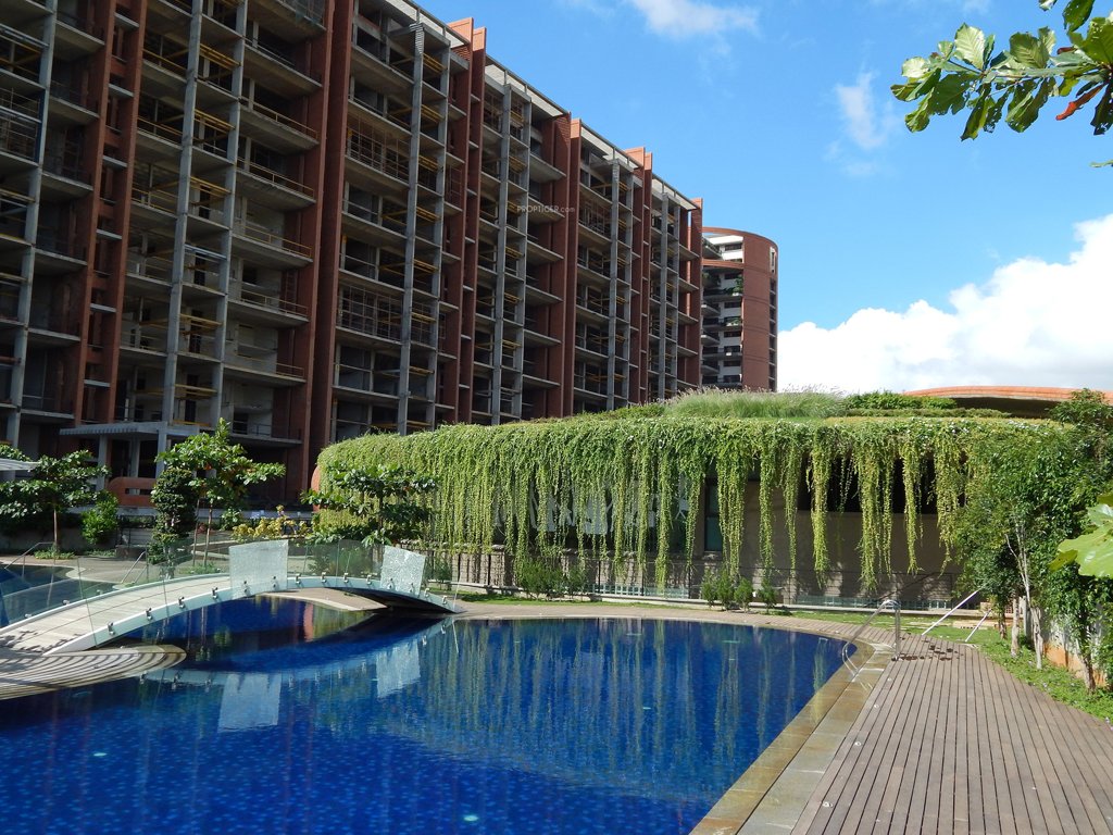 the magic faraway tree Swimming Pool