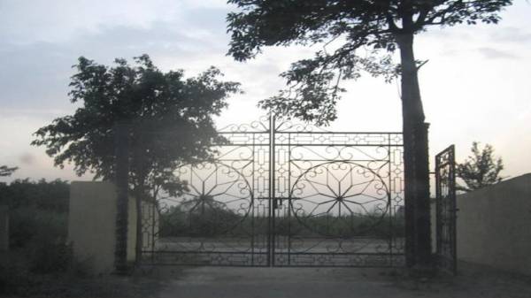 Elevation flora-farms Elevation