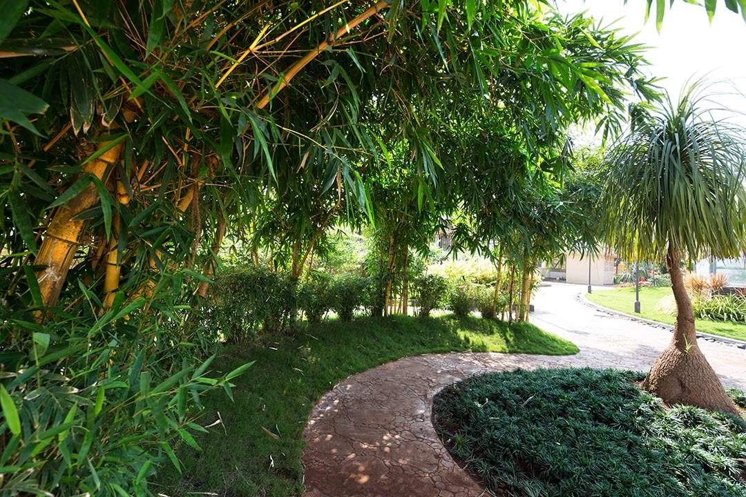  palacia Images for Amenities of Madhav Palacia