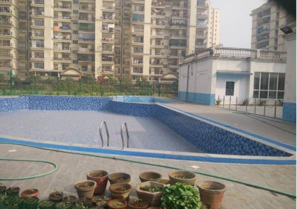  krishna-vista Swimming Pool