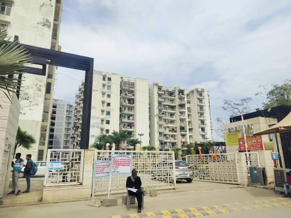  shalimar-city Elevation