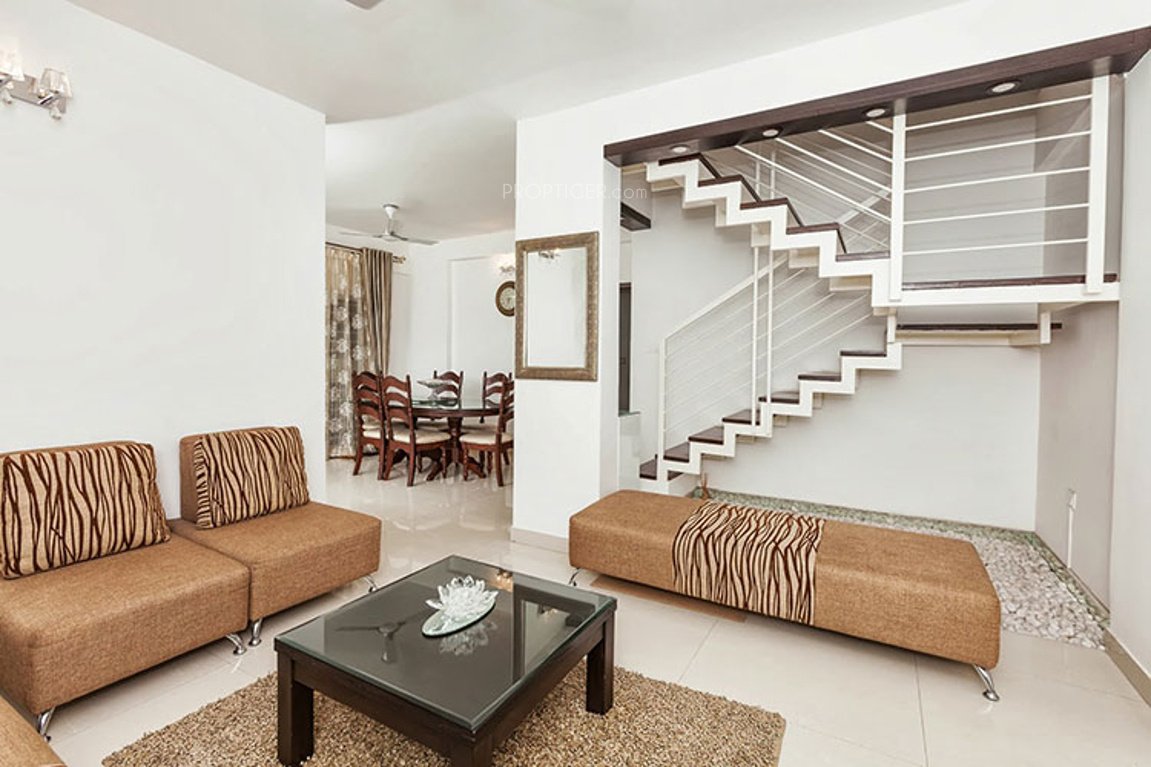 essem 18 le terrace Main Other