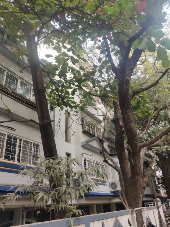 Images for Project Images for Project