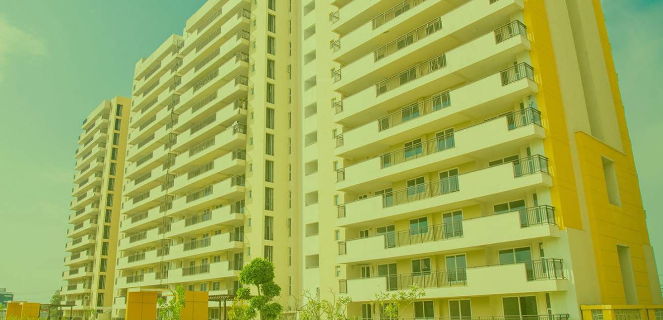  lumbini terrace homes Elevation