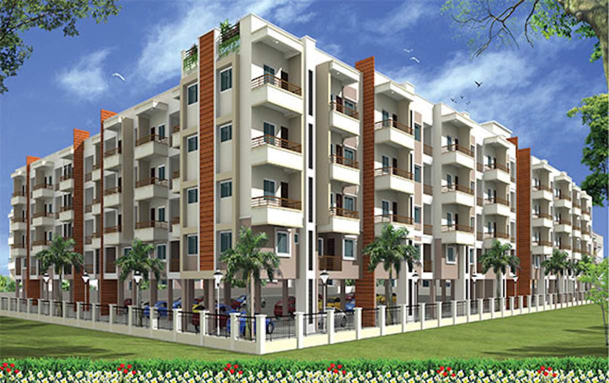  white orchid Elevation