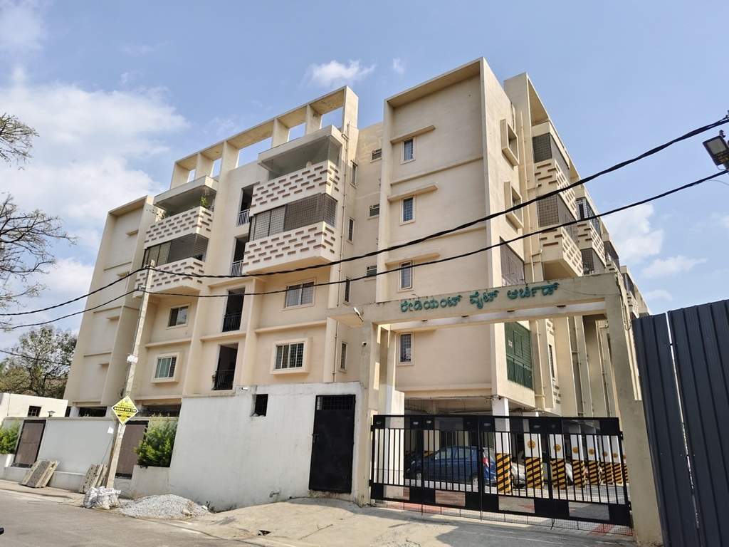  white orchid Elevation