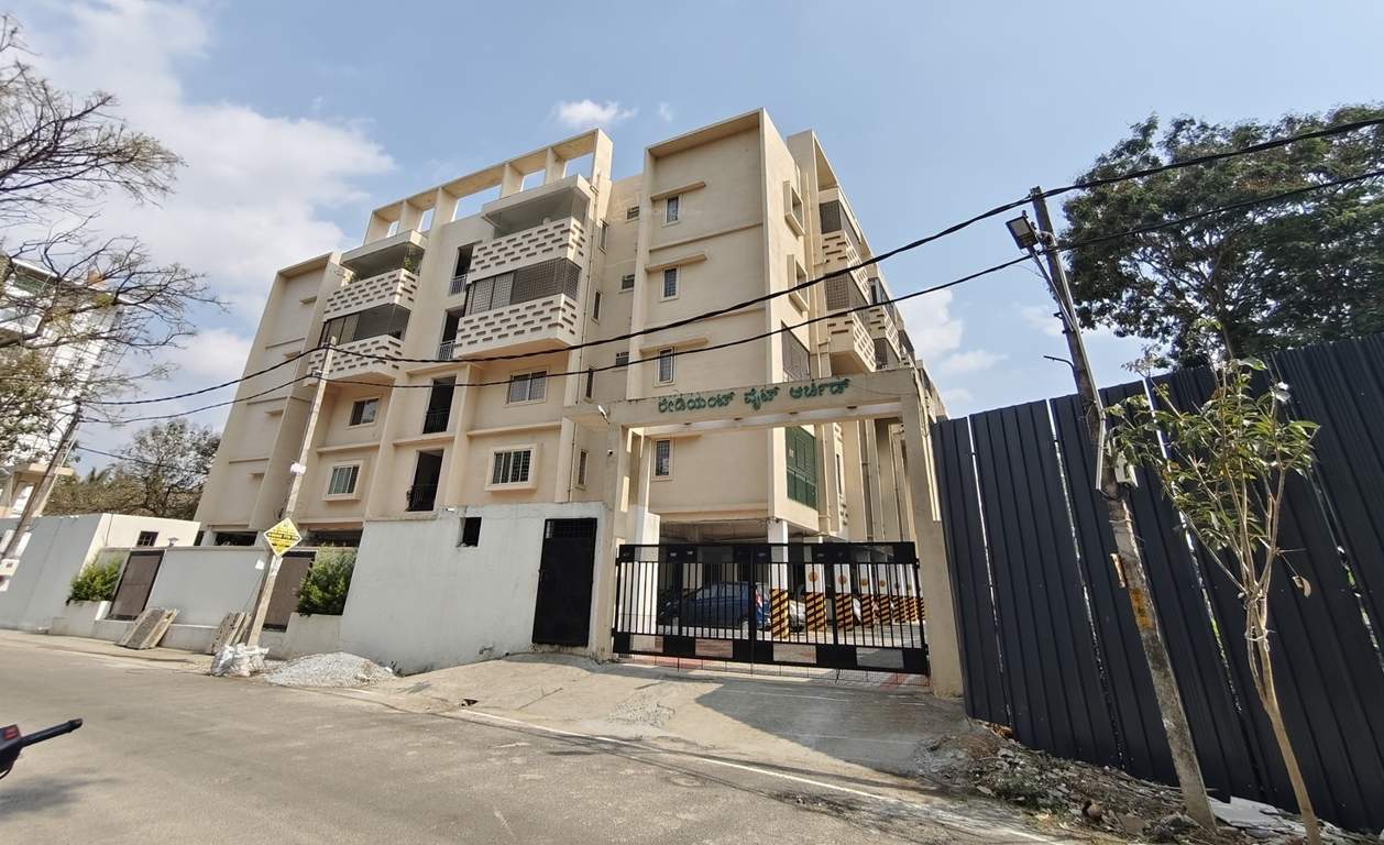  white orchid Elevation