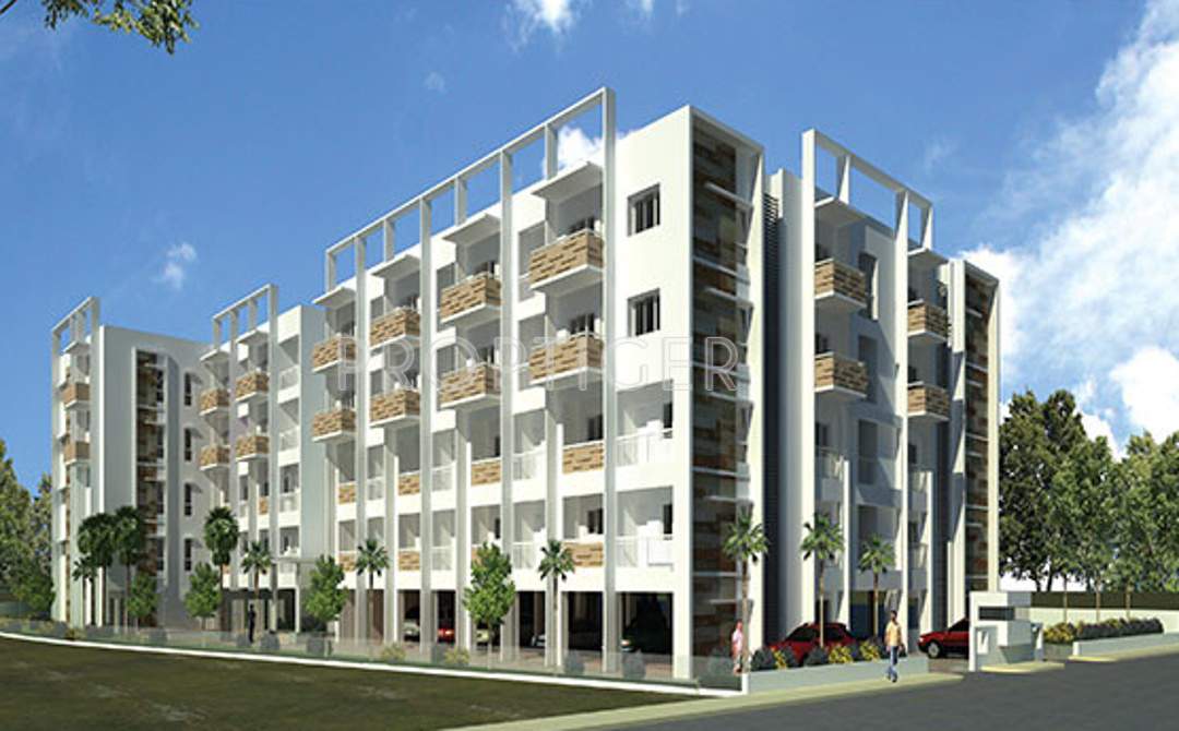  white orchid Images for Elevation of Radiant White Orchid