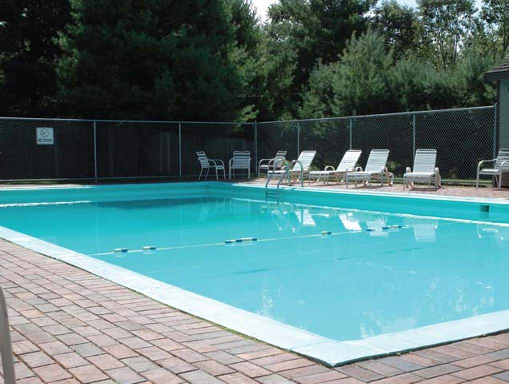  white orchid Images for Amenities of Radiant White Orchid