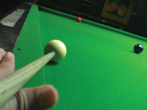  white-orchid Images for Amenities of Radiant White Orchid