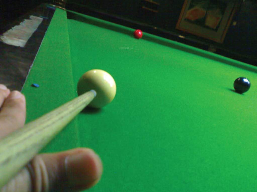  white orchid Images for Amenities of Radiant White Orchid