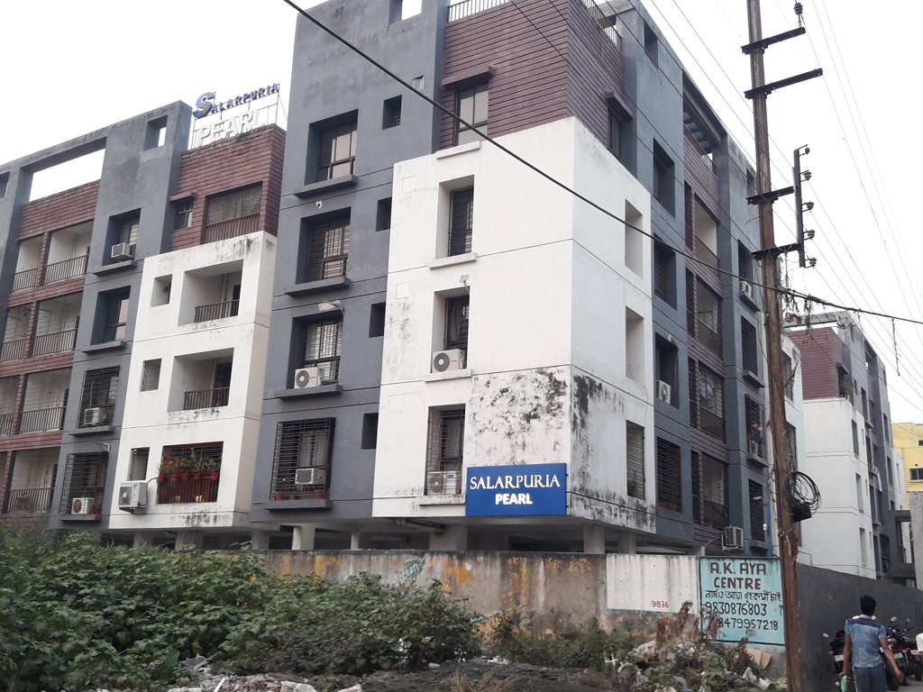  pearl Images for Project