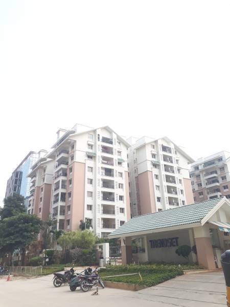  trendset-winz Elevation