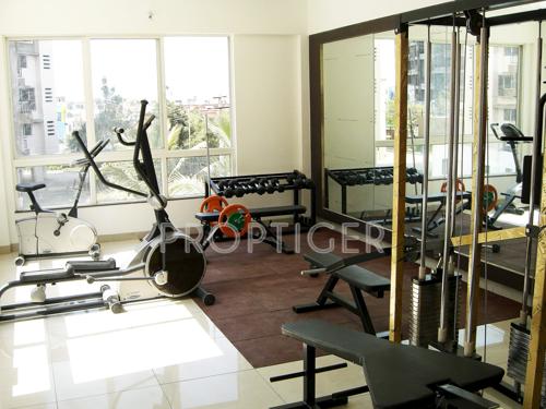 Images for Amenities of Madhuban Builders Satin Brick