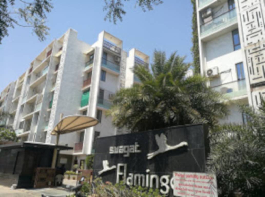  flamingo Images for Project